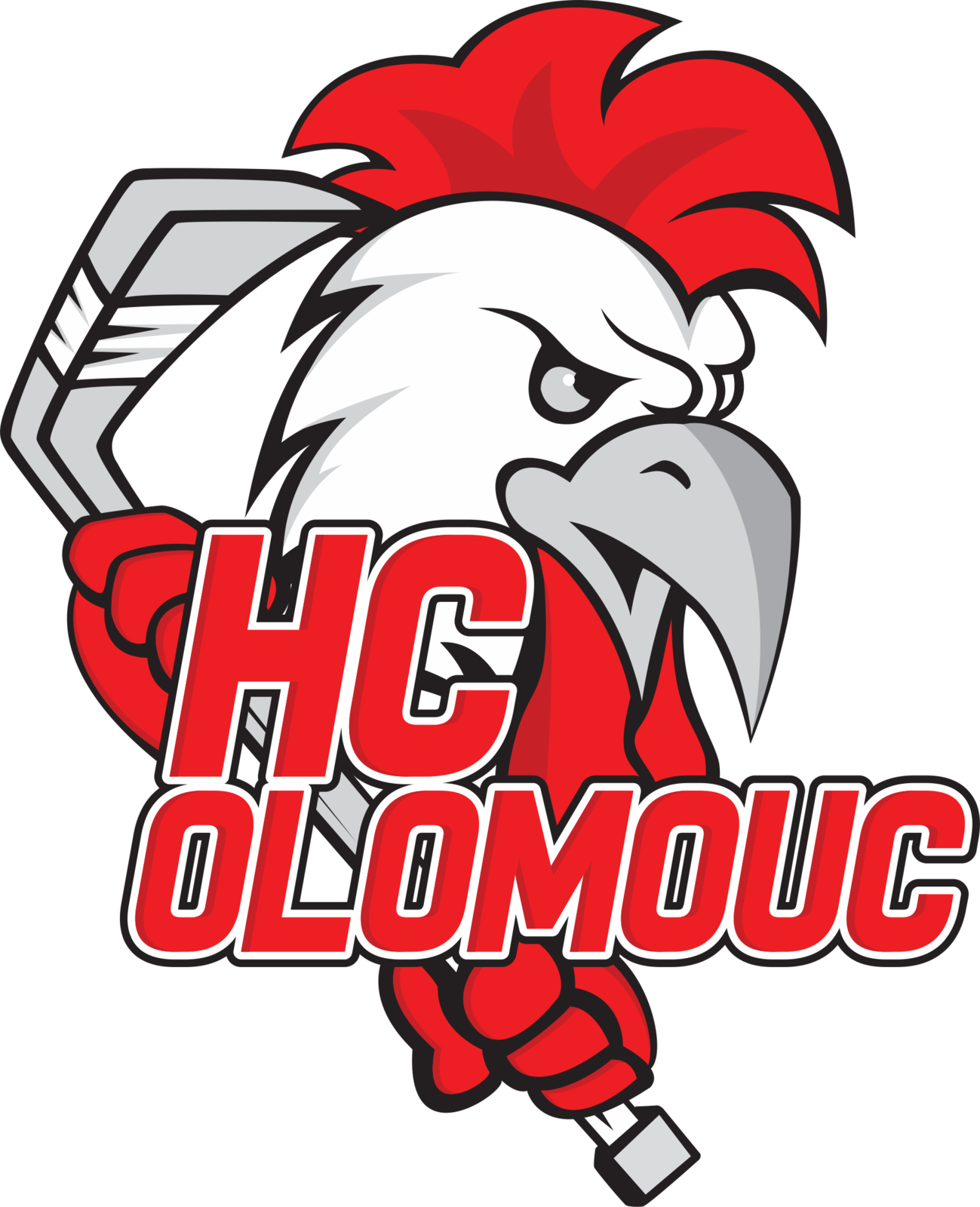 Logo HCO png.png